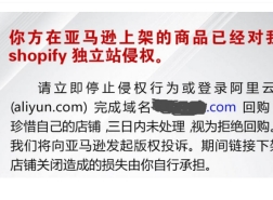 70+ASIN被下架！多位卖家收到警告邮件，域名被抢注该怎么办？