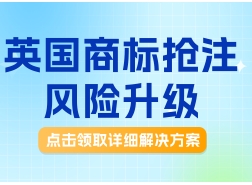 英标被抢注，详细解决方案