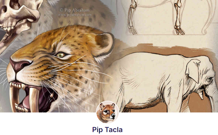 109店涉案！keith律所代理爱尔兰麋鹿插画发起版权维权 案件号：26-cv-04644